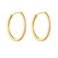 S925 Sterling Silver Hoop Earrings for Women 14K Gold Plated